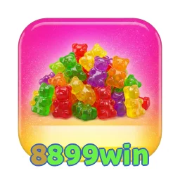 8899win