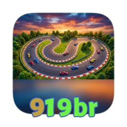 919br